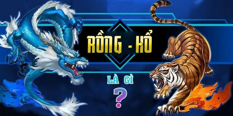 Rồng hổ